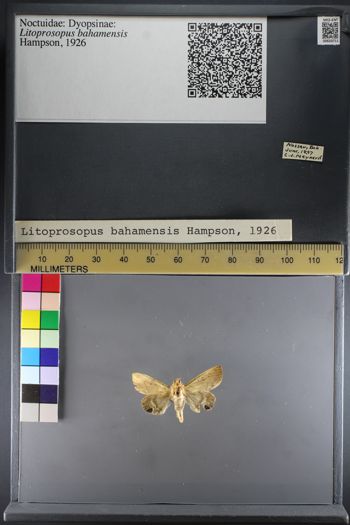 Media type: image;   Entomology 633711